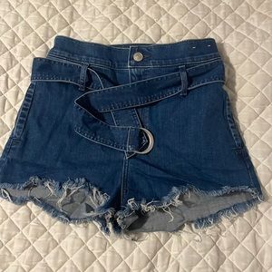 Shortie Express Shorts